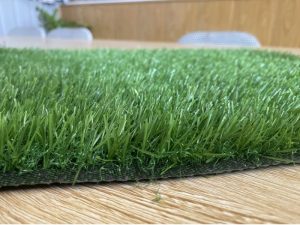 ứng dụng cỏ nhựa